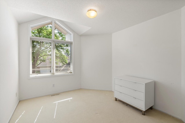 5555 70th St, Edina, MN 55439 - additional living space with light carpet, a textured ceiling, vaulted ceiling, and baseboards