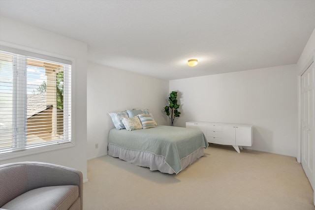 5555 70th St, Edina, MN 55439 - bedroom featuring light carpet