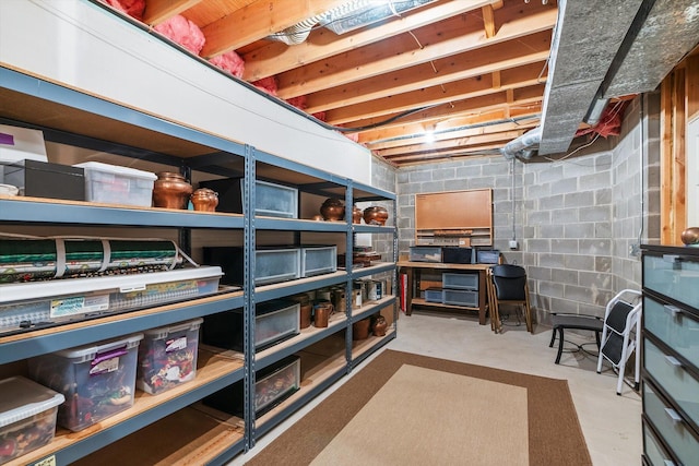 5555 70th St, Edina, MN 55439 - view of storage room