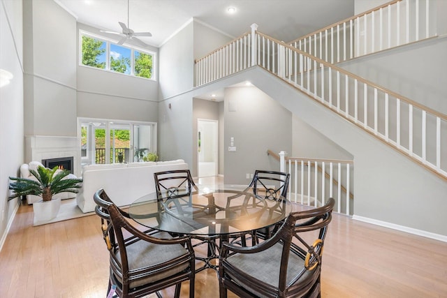 5555 70th St, Edina, MN 55439 - dining room with wood finished floors, plenty of natural light, ceiling fan, high vaulted ceiling, and baseboards