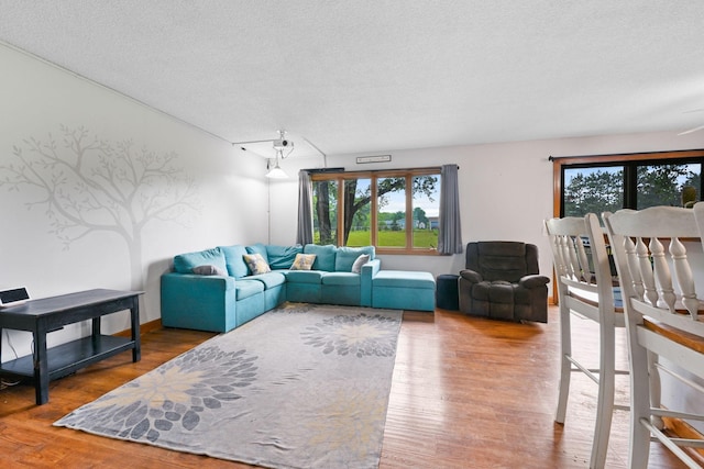 15607 93rd Cir NE, Otsego, MN 55330 - living room with wood finished floors and a textured ceiling