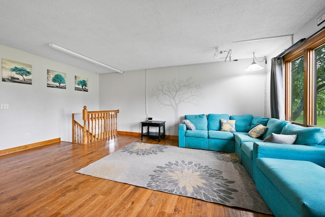 15607 93rd Cir NE, Otsego, MN 55330 - living room featuring a textured ceiling, wood finished floors, and baseboards