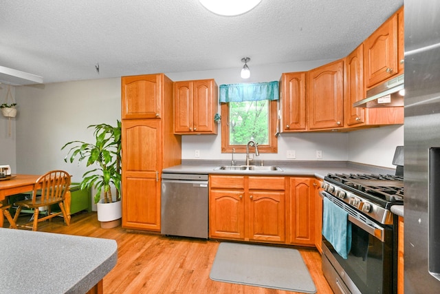 15607 93rd Cir NE, Otsego, MN 55330 - kitchen with appliances with stainless steel finishes, under cabinet range hood, a sink, a textured ceiling, and light wood-style flooring