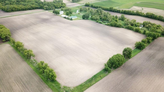 4365 40th St SW, Marysville Twp, MN 55390 - aerial view of property and surrounding area
