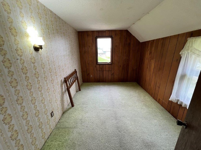 4365 40th St SW, Marysville Twp, MN 55390 - additional living space featuring lofted ceiling, wooden walls, and light carpet