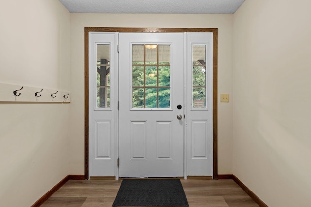 24345 165th St NW, Orrock Twp, MN 55309 - entryway featuring baseboards and light wood-style floors