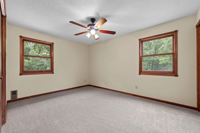 24345 165th St NW, Orrock Twp, MN 55309 - empty room with carpet flooring, healthy amount of natural light, ceiling fan, and a textured ceiling