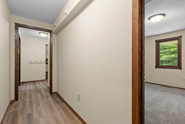 24345 165th St NW, Orrock Twp, MN 55309 - hallway with a textured ceiling and light wood-style floors