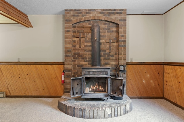 24345 165th St NW, Orrock Twp, MN 55309 - detailed view of a wood stove, a wainscoted wall, wood walls, and carpet flooring