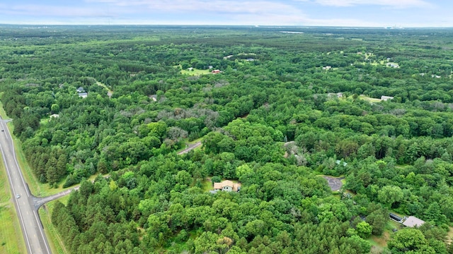 24345 165th St NW, Orrock Twp, MN 55309 - view of property location featuring a forest