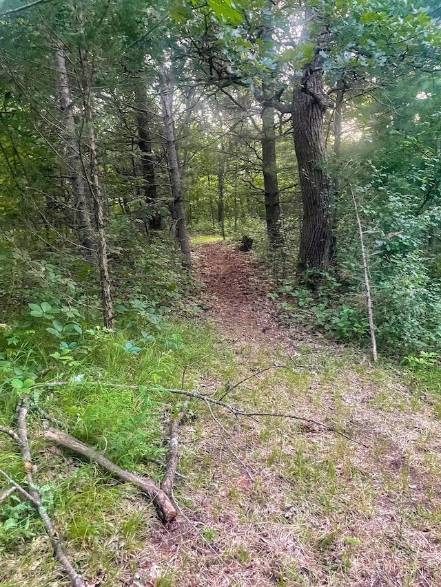 24345 165th St NW, Orrock Twp, MN 55309 - view of nature