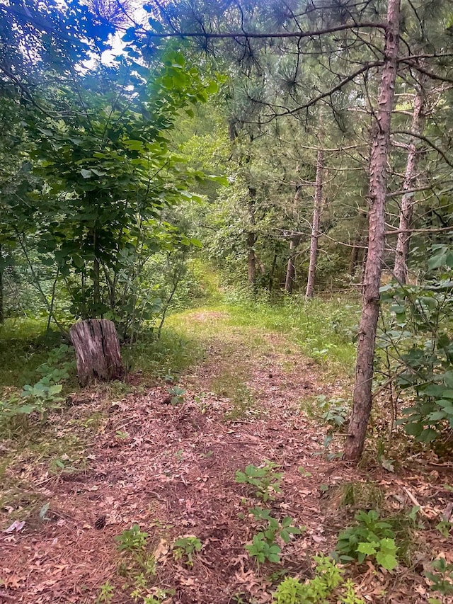 24345 165th St NW, Orrock Twp, MN 55309 - view of wooded area