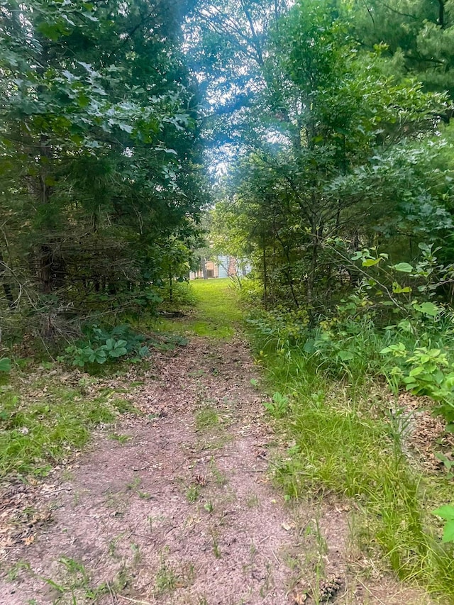 24345 165th St NW, Orrock Twp, MN 55309 - view of yard