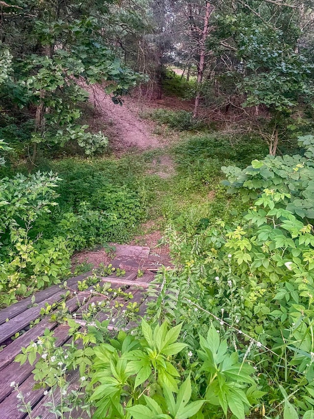 24345 165th St NW, Orrock Twp, MN 55309 - view of yard featuring a vegetable garden