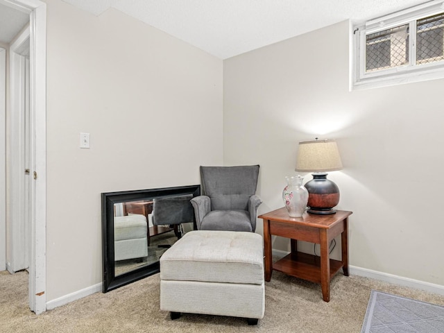 3944 Clinton Ave, Minneapolis, MN 55409 - sitting room featuring carpet floors and a fireplace