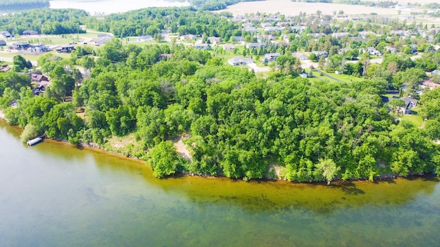 798 Shore Dr, Detroit Lakes, MN 56501 - photo 9