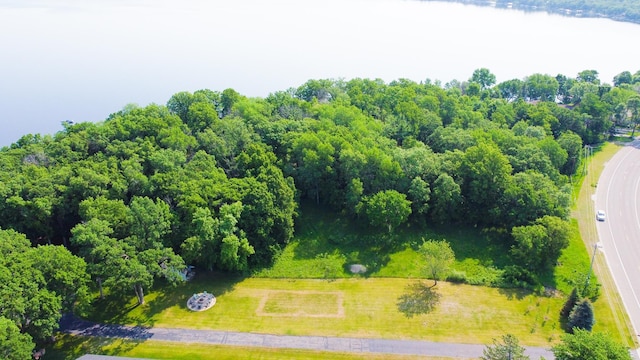 798 Shore Dr, Detroit Lakes, MN 56501 - photo 11