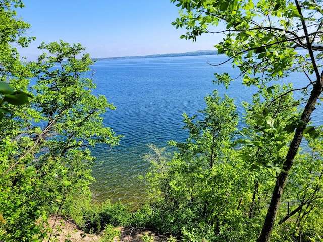798 Shore Dr, Detroit Lakes, MN 56501 - photo 14