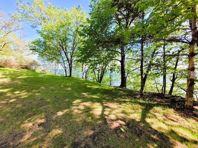 798 Shore Dr, Detroit Lakes, MN 56501 - photo 18