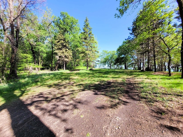 798 Shore Dr, Detroit Lakes, MN 56501 - photo 20