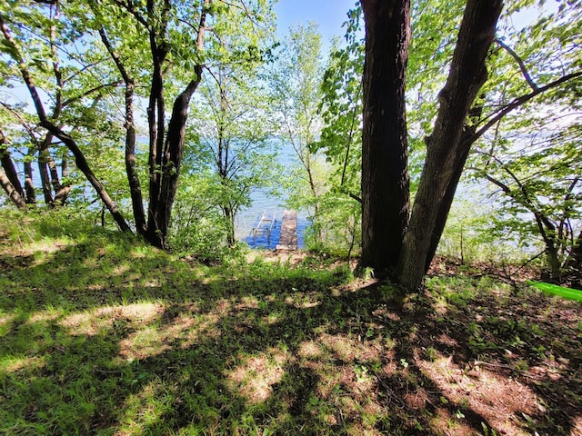 798 Shore Dr, Detroit Lakes, MN 56501 - photo 21