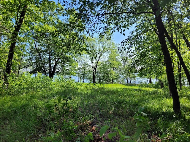798 Shore Dr, Detroit Lakes, MN 56501 - photo 23