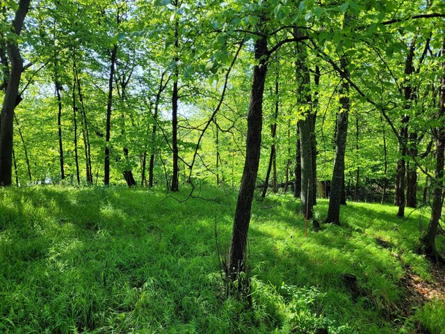 798 Shore Dr, Detroit Lakes, MN 56501 - photo 24
