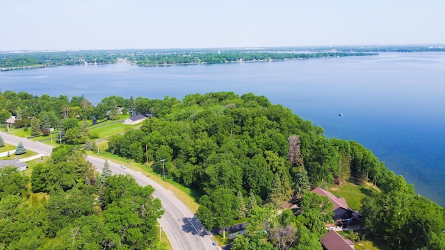 798 Shore Dr, Detroit Lakes, MN 56501 - photo 6