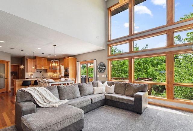 462 Rowena Curv, Elko New Market, MN 55054 - living area with dark wood-style floors and recessed lighting