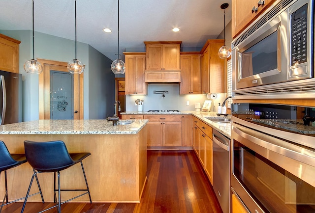 462 Rowena Curv, Elko New Market, MN 55054 - kitchen featuring appliances with stainless steel finishes, light stone counters, dark wood-style flooring, and recessed lighting