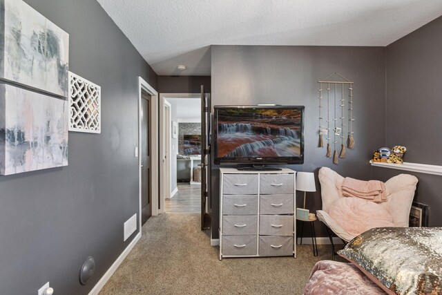 11920 Lever St NE, Blaine, MN 55449 - photo 47