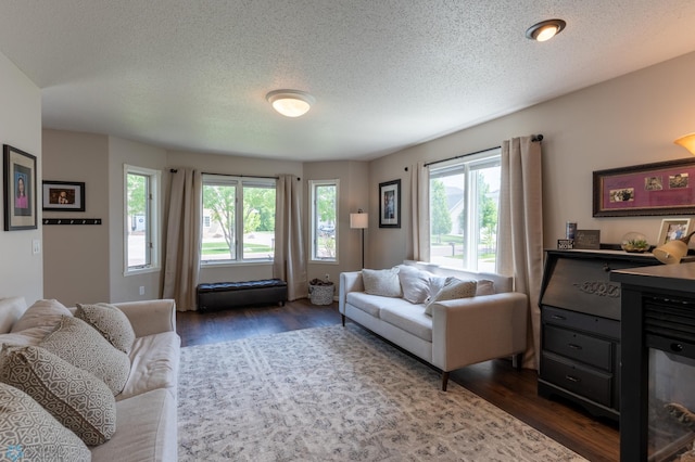 4408 Riverwood Dr N, Fargo, ND 58102 - living room featuring dark wood-type flooring and a textured ceiling