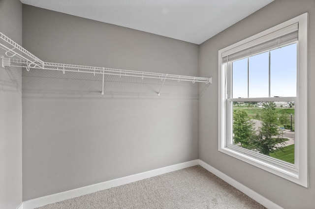 5040 93rd Ln N, Brooklyn Park, MN 55443 - walk in closet with carpet flooring