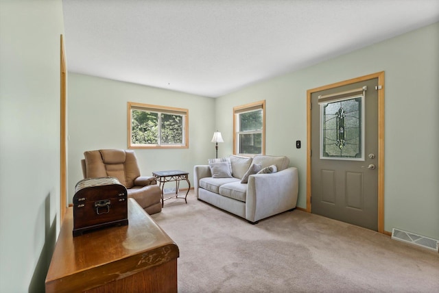 16957 Lake Netta Dr NE, Ham Lake, MN 55304 - living room with light carpet