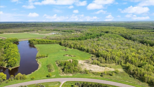 51325 Great River Rd, Palisade, MN 56469 - photo 5