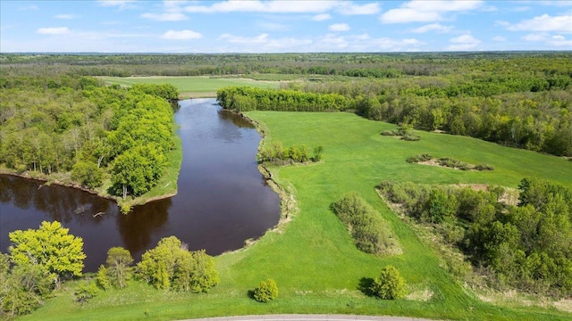 51325 Great River Rd, Palisade, MN 56469 - photo 7