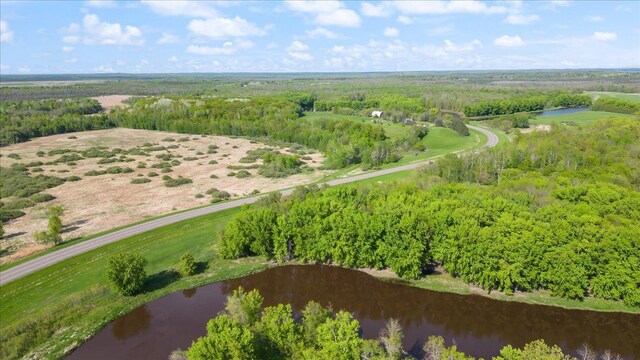 51325 Great River Rd, Palisade, MN 56469 - photo 10