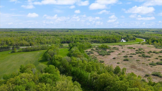 51325 Great River Rd, Palisade, MN 56469 - photo 14