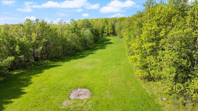 51325 Great River Rd, Palisade, MN 56469 - photo 18