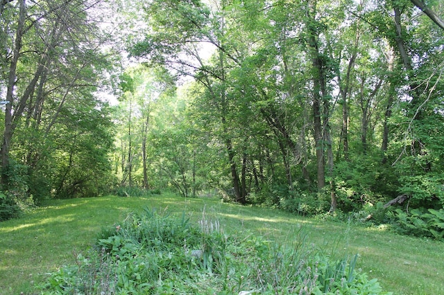 16901 Severson NW, Evansville, MN 56326 - photo 4