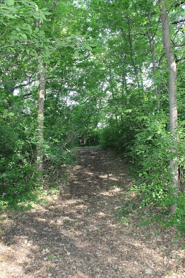 16901 Severson NW, Evansville, MN 56326 - photo 6