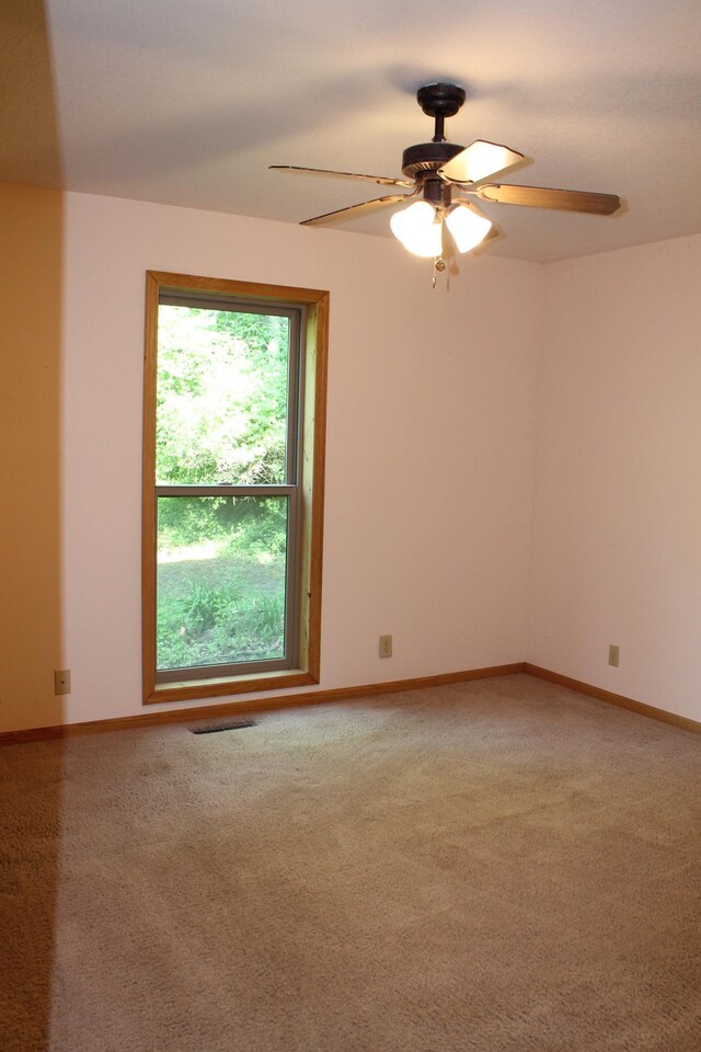 16901 Severson NW, Evansville, MN 56326 - photo 13