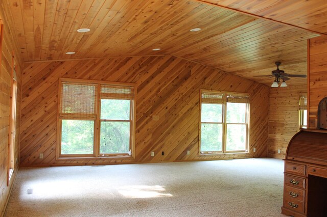 16901 Severson NW, Evansville, MN 56326 - photo 16