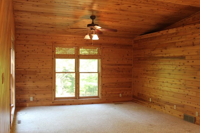 16901 Severson NW, Evansville, MN 56326 - photo 17