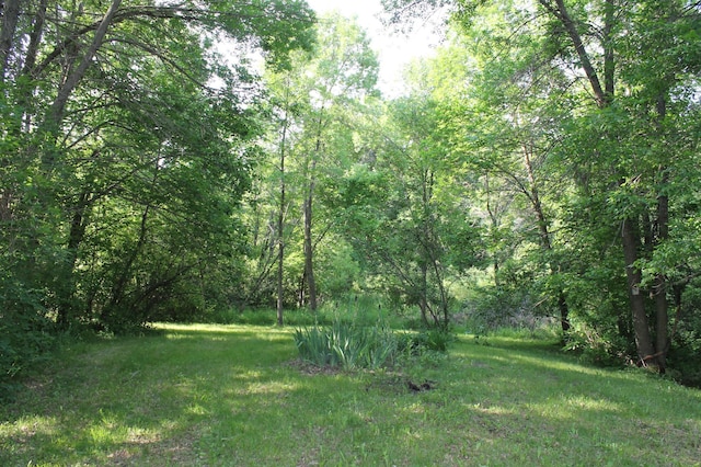 16901 Severson NW, Evansville, MN 56326 - photo 27