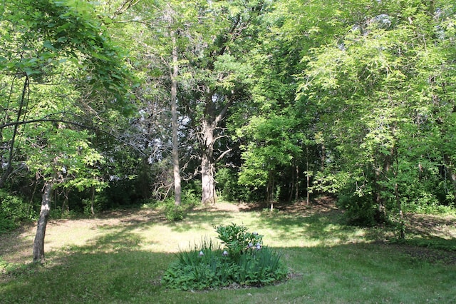 16901 Severson NW, Evansville, MN 56326 - photo 29