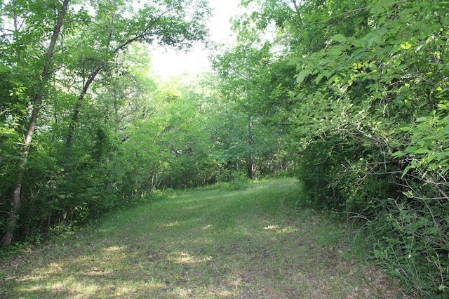 16901 Severson NW, Evansville, MN 56326 - photo 33