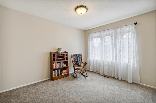 1198 Saint Clair Ave, Saint Paul, MN 55105 - sitting room with carpet floors and baseboards
