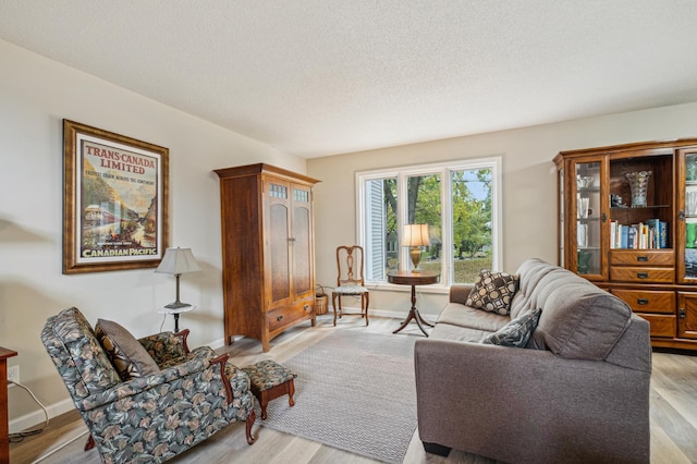 1198 Saint Clair Ave, Saint Paul, MN 55105 - living area with light wood-style flooring and a textured ceiling