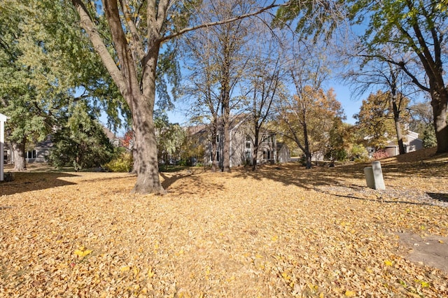 1198 Saint Clair Ave, Saint Paul, MN 55105 - view of yard